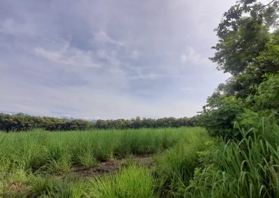 Terreno en Venta San José El Ídolo Suchitepéquez