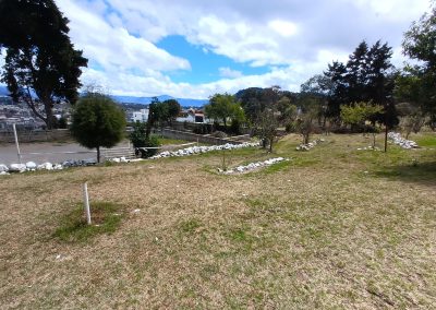 Lote La Pedrera Quetzaltenango