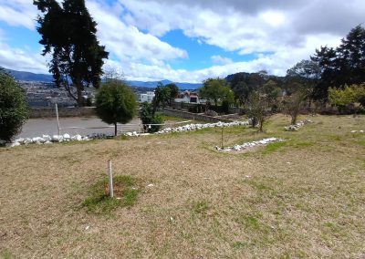 Lote La Pedrera Quetzaltenango